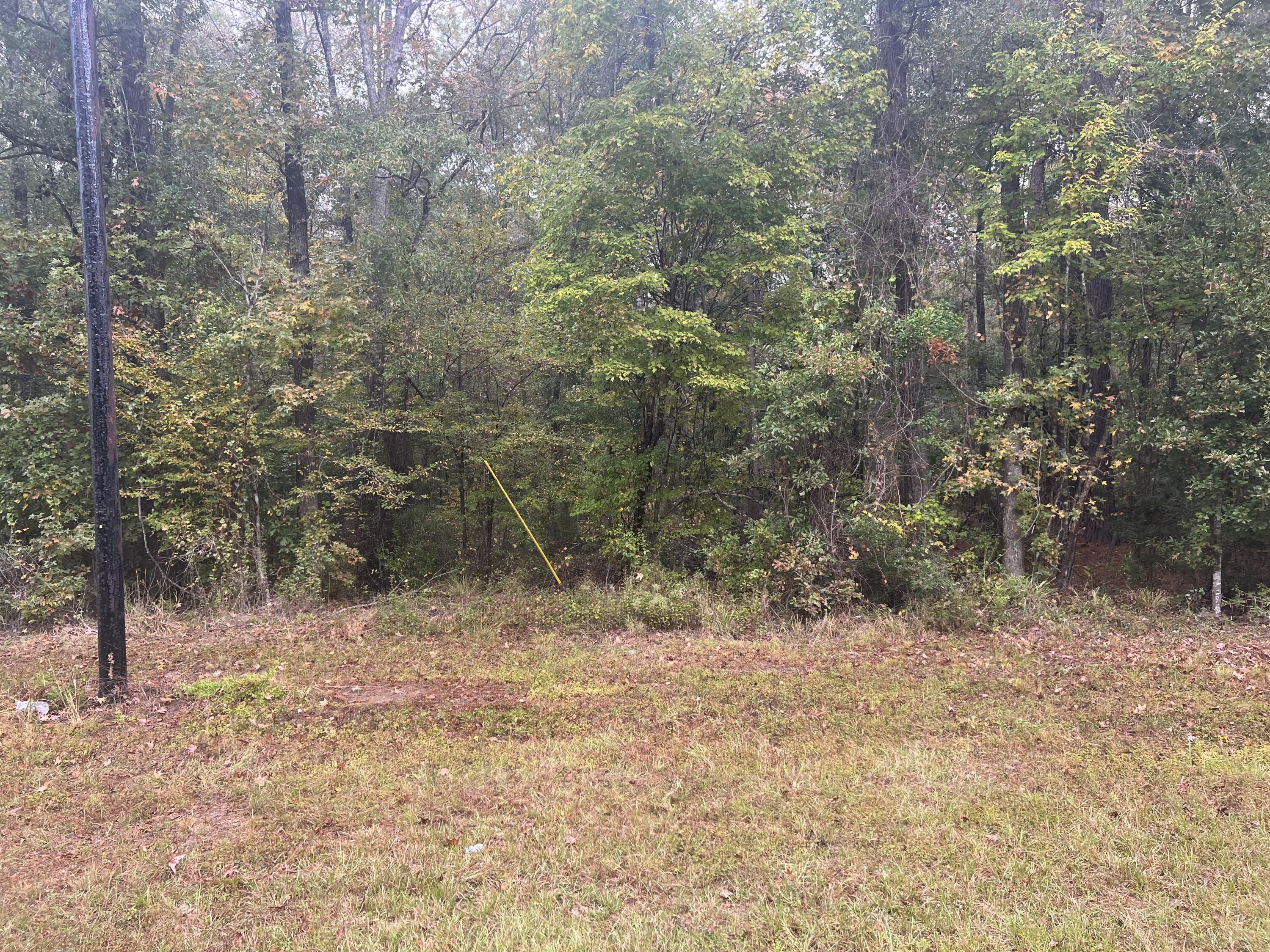 Evans land for sale,  Jarrell Loop, Evans LA - $60,000