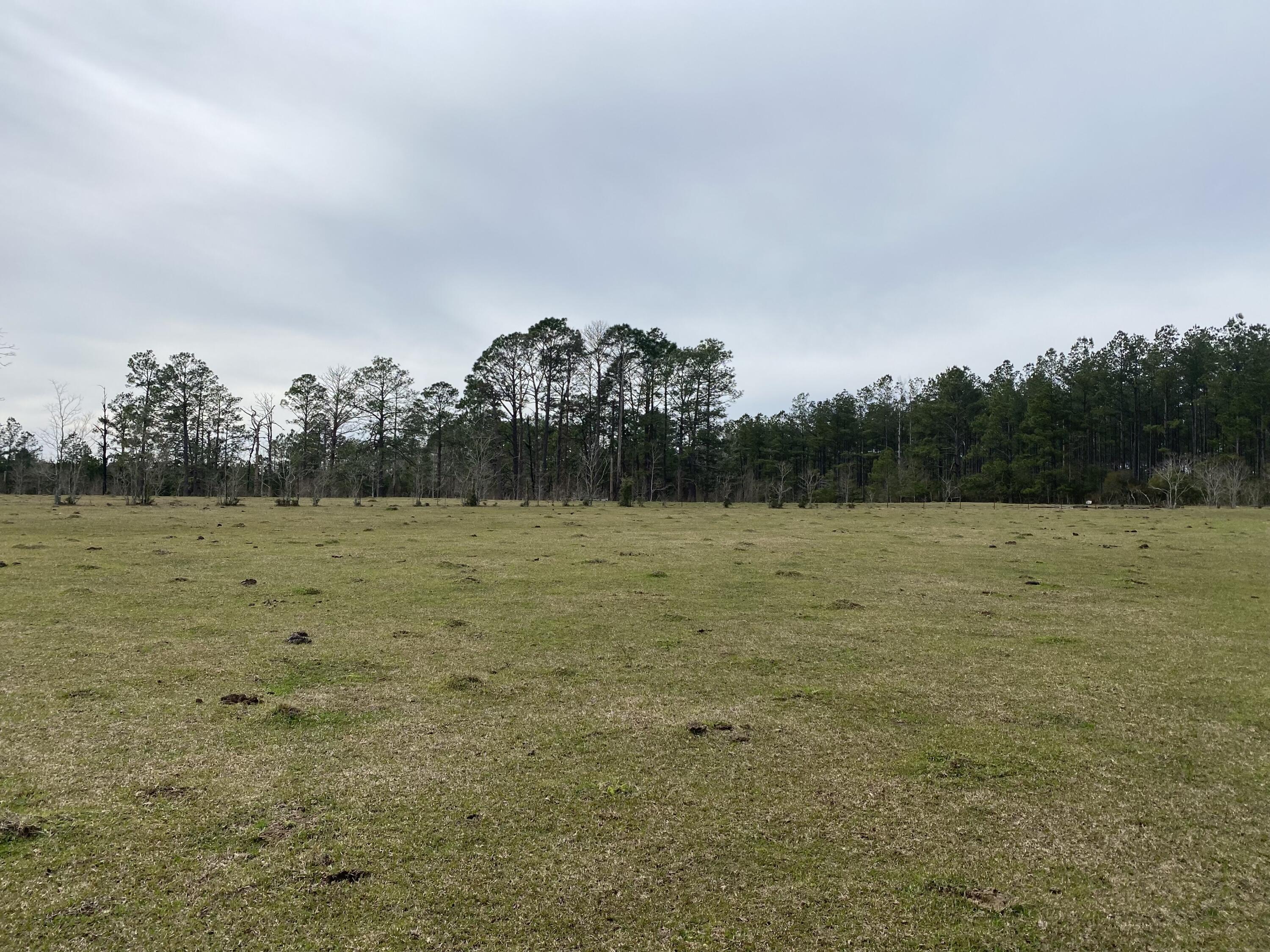 Pitkin land for sale,  Lonzie Doyle Rd, Pitkin LA - $35,000