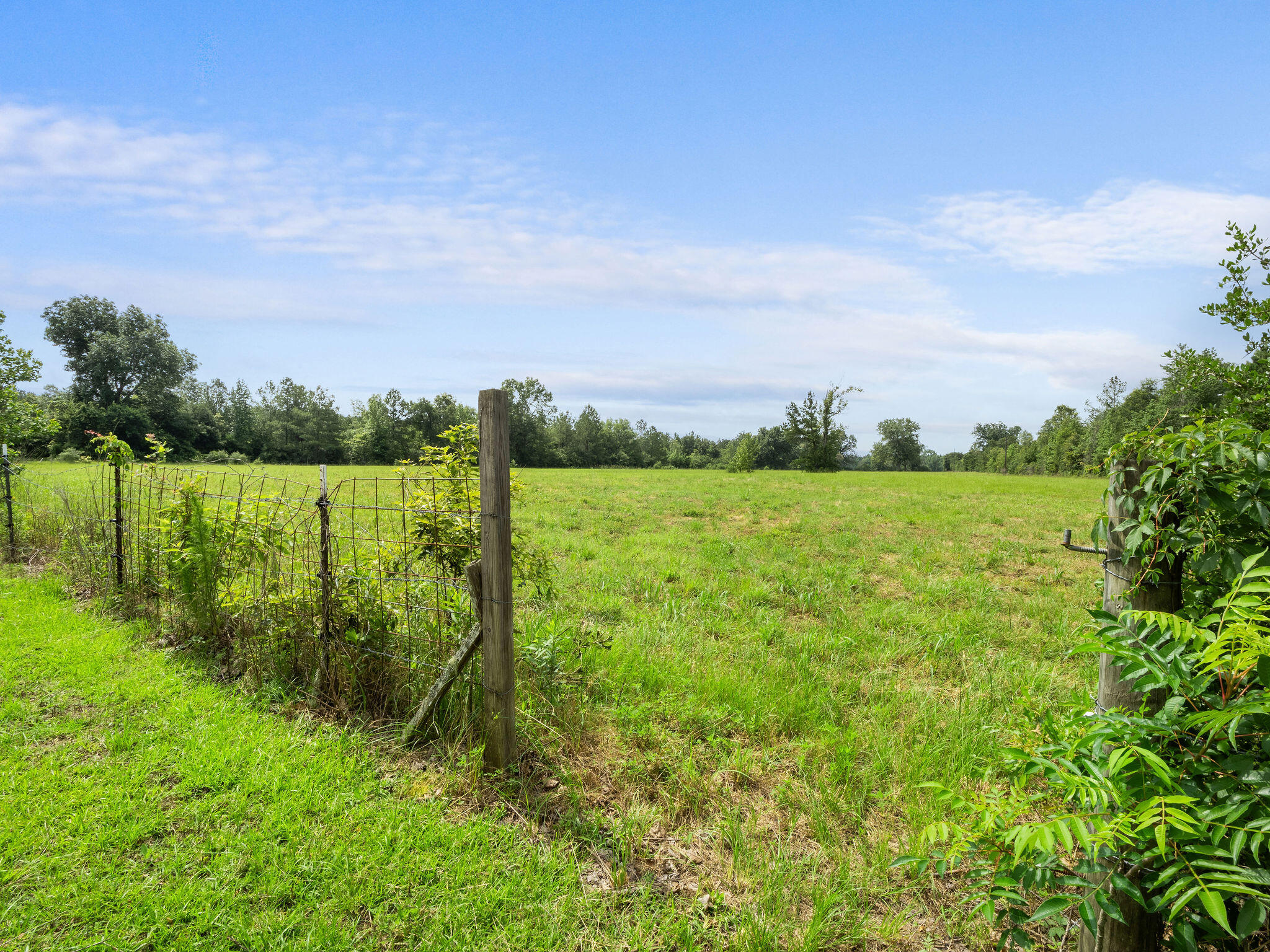 DeRidder home for sale, 162 Pippin Wilcox Rd, DeRidder LA - $350,000