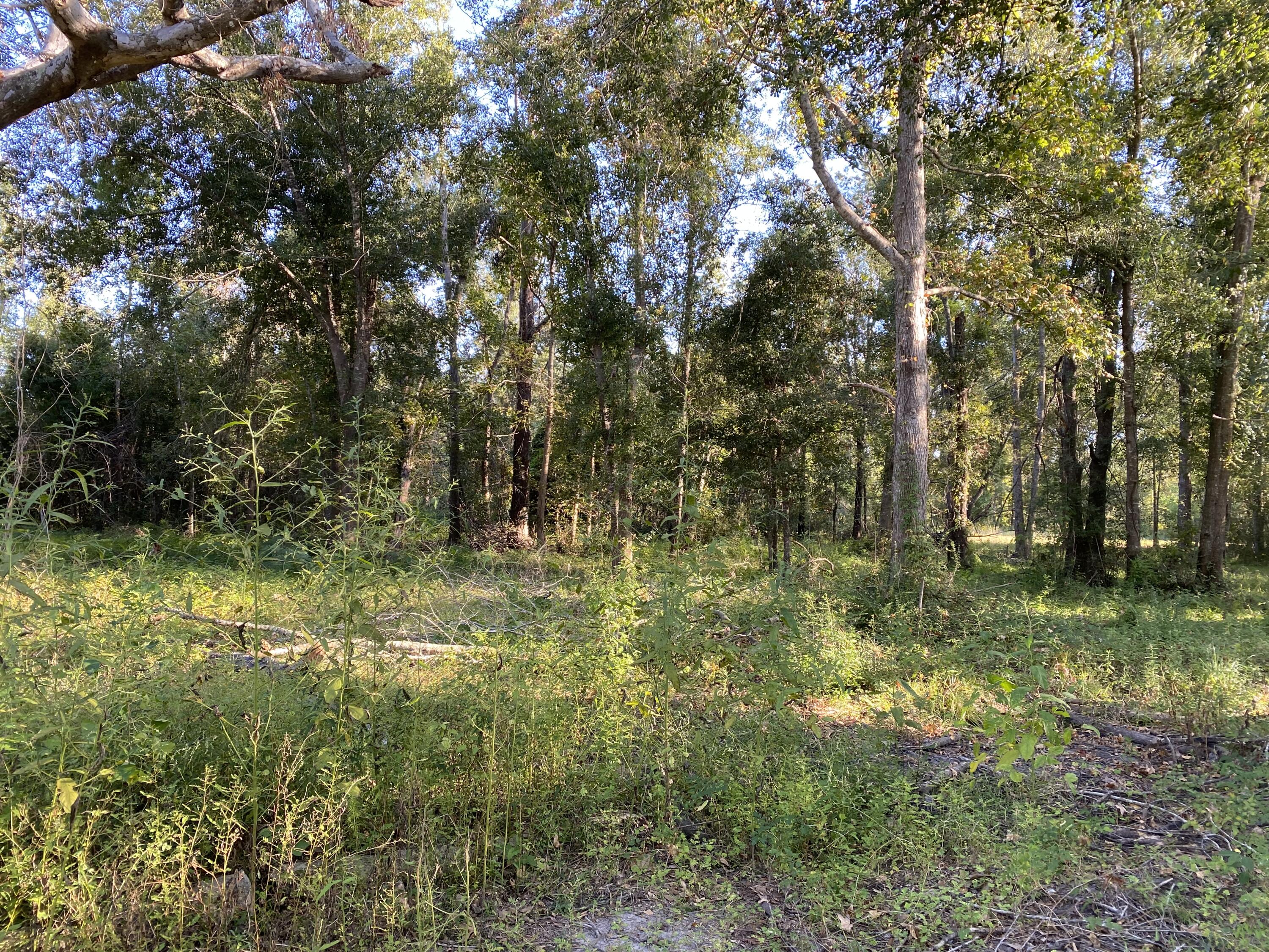 Vinton home for sale, 2861 Delta Downs Dr, Vinton LA - $309,000